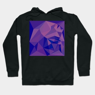 Han Purple Abstract Low Polygon Background Hoodie